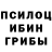 Галлюциногенные грибы прущие грибы Daniel Laskawy