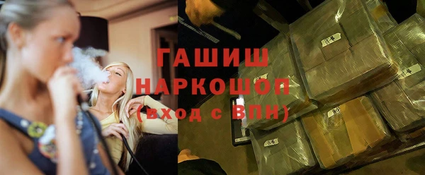 индика Богданович