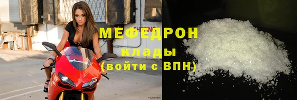 индика Богородск