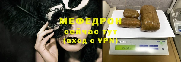 индика Богородск