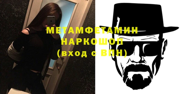 индика Богданович