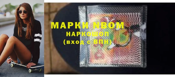 индика Богородск