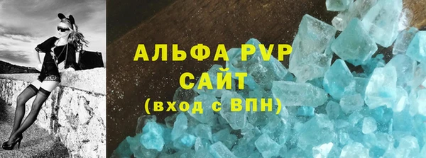 индика Богородск