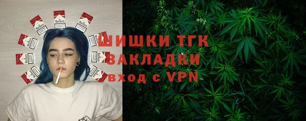 индика Богданович