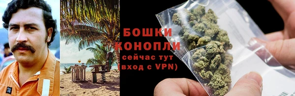 индика Богородск