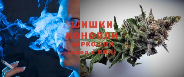 индика Богданович